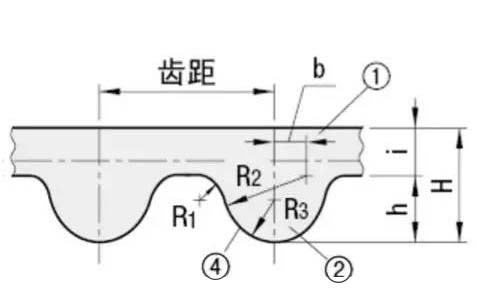 圆弧齿同步带